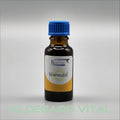 Wermut-Öl  20ml